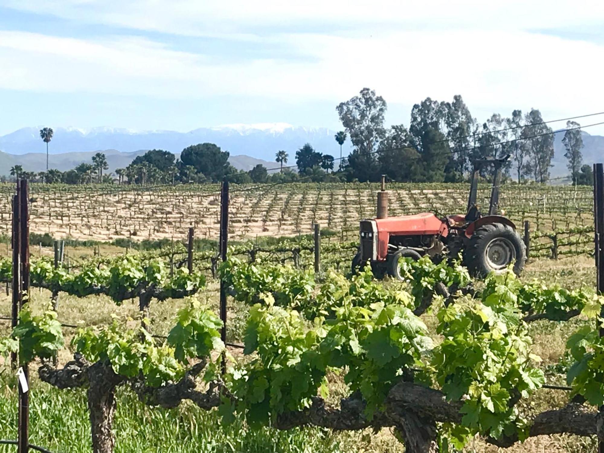Domaine Chardonnay Temecula Exterior foto
