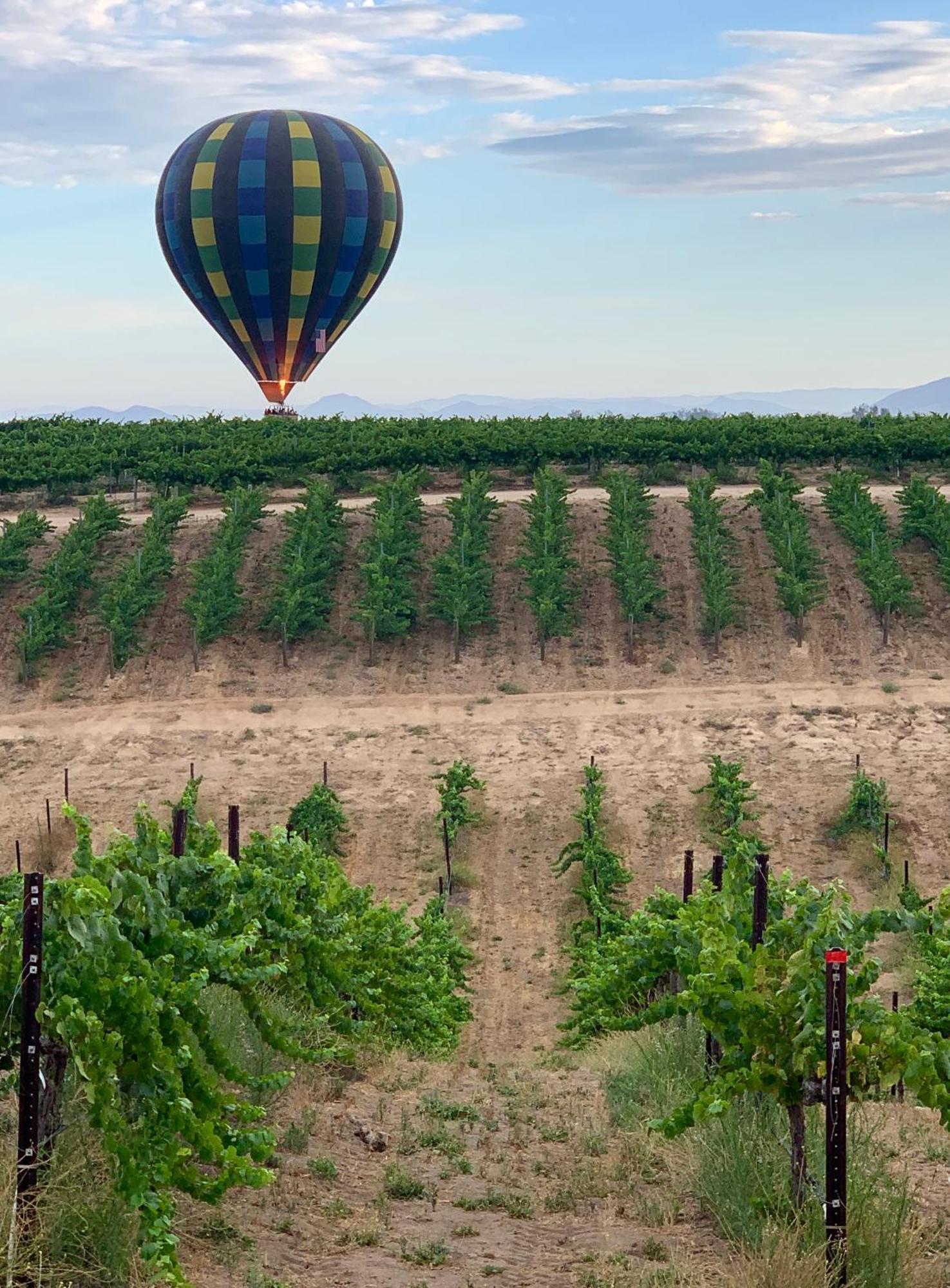 Domaine Chardonnay Temecula Exterior foto