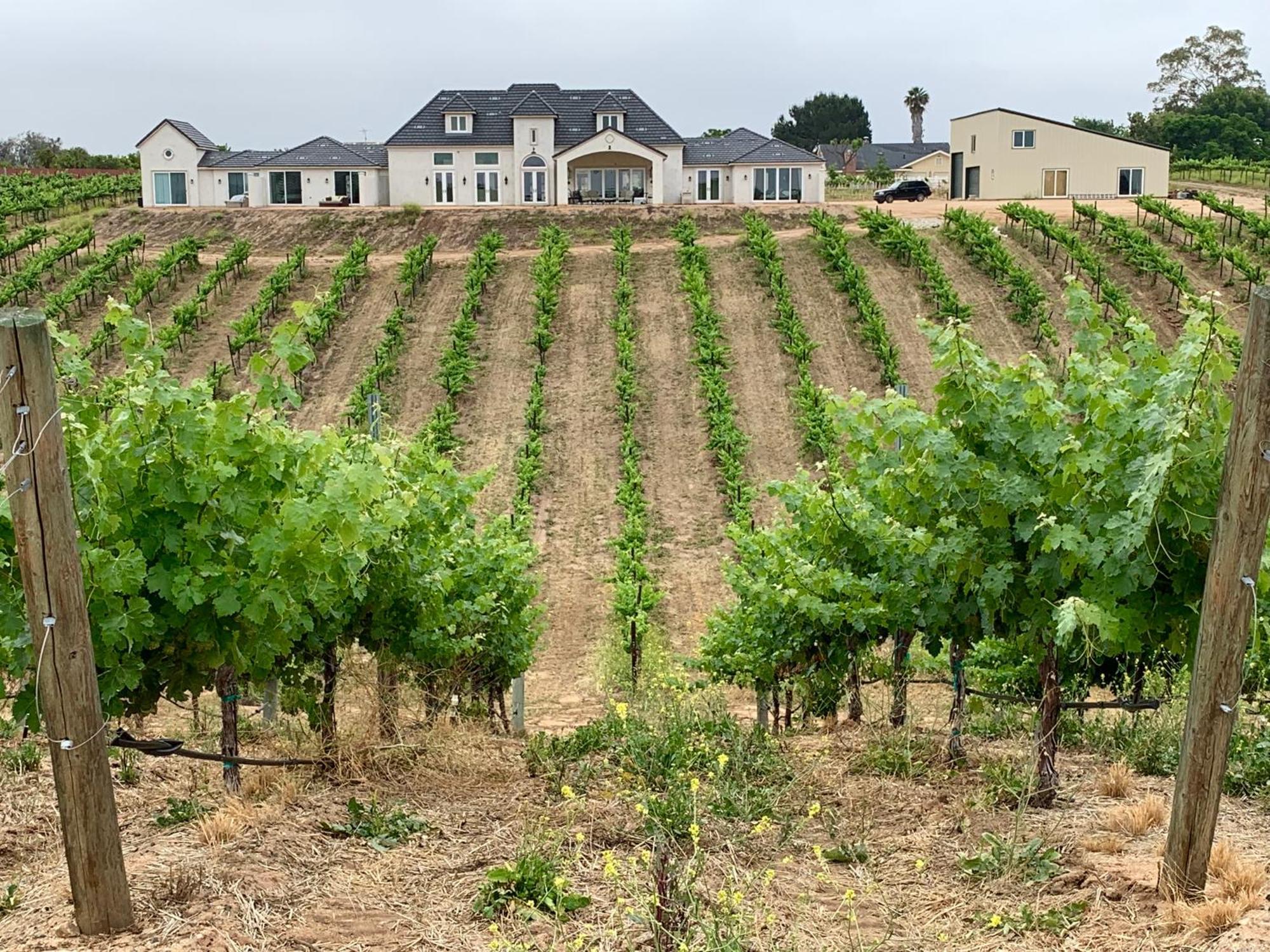 Domaine Chardonnay Temecula Exterior foto